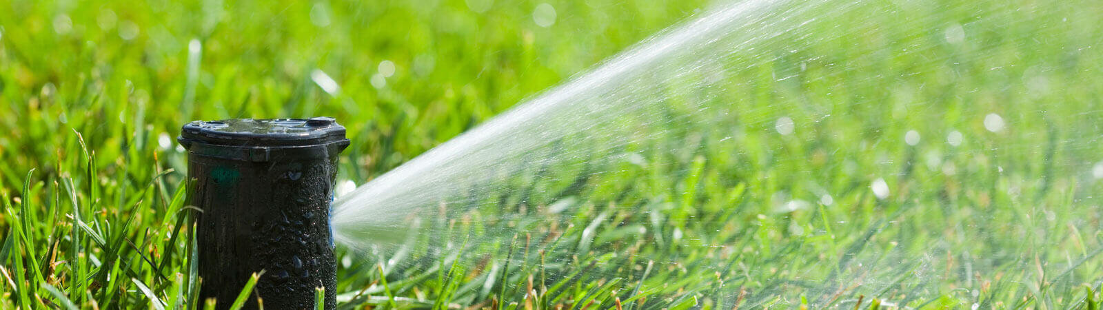 Diffuser watering lawn