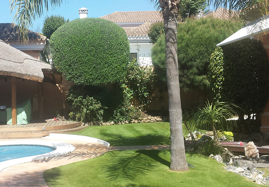 Garden, hedge cutting and trimming