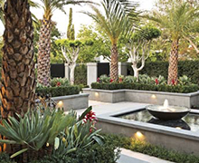 Tropical landscaping Marbella