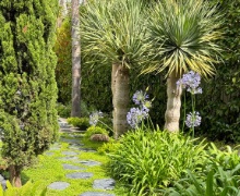 Jardín de villa en Marbella