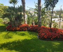 Jardín de villa en Estepona