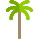 Logo palms