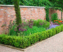 colorida jardinera en jardín